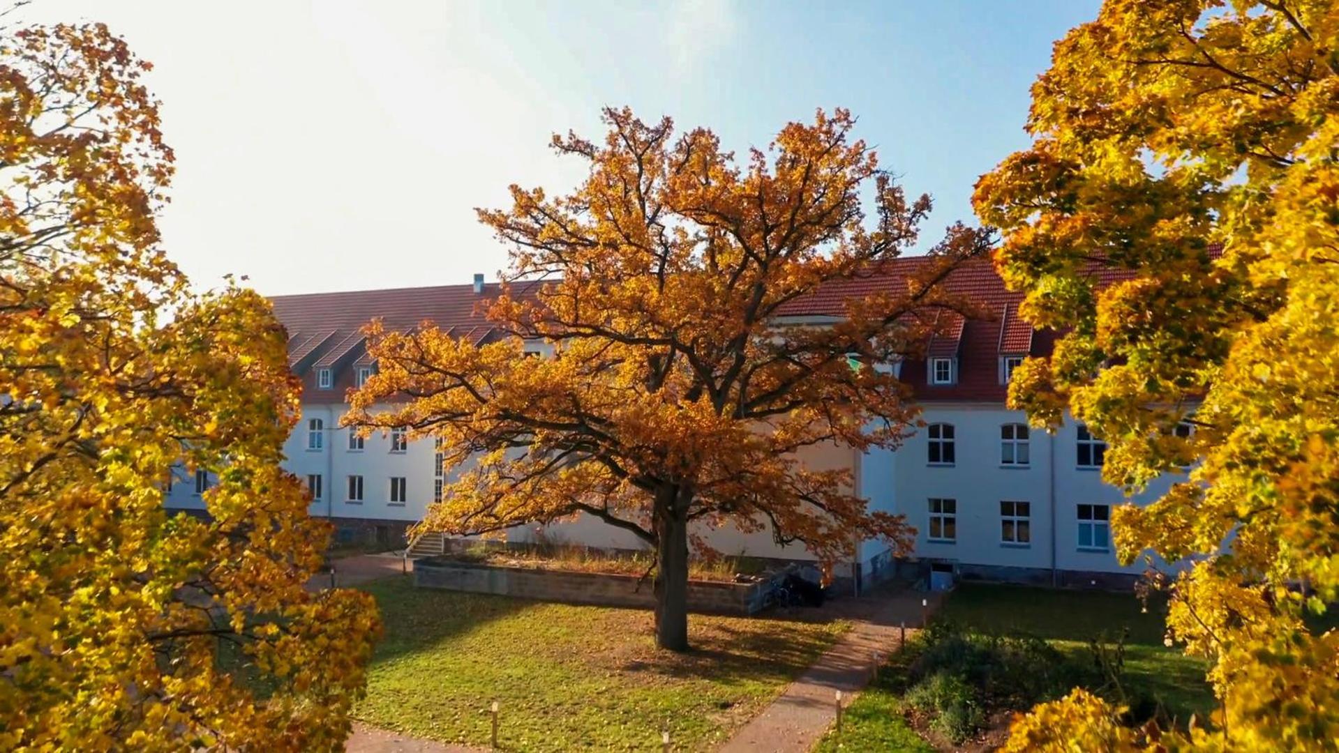 Parkresidenz Lychen, Ferienwohnung 6 Exterior foto